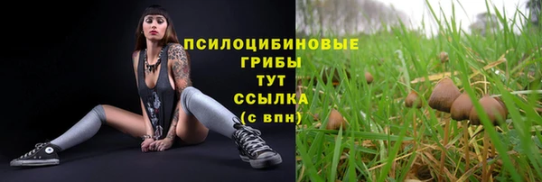 mdma Няндома