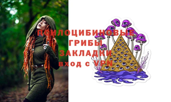 2c-b Нязепетровск