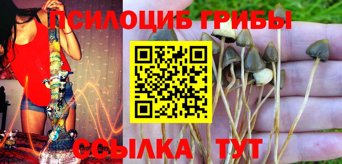 Советский  Псилоцибиновые грибы Cubensis  Вход с VPN 